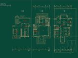 国鼎中央公园_4室5厅4卫 建面250平米