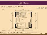 丽港新天地_405户型图 建面0平米