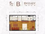 金大地山语四季峯璟_1室1厅1卫 建面53平米