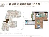 太白山棕榈泉_孔雀15户型 建面95平米