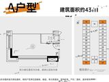 保利中悦A11_1室1厅1卫 建面43平米