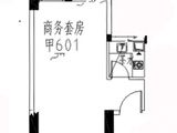 龙成国际_平层公寓甲01户型 50㎡ 建面50平米