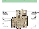 招商碧桂园依云四季_3室2厅2卫 建面90平米