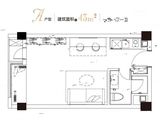 金融街融御滨江_1室1厅1卫 建面43平米