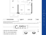 深圳前海华发冰雪世界丨华发新城_3室2厅2卫 建面85平米